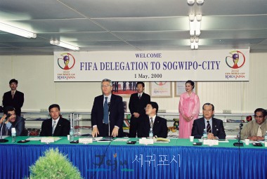 2002 FIFA ǥ  湮