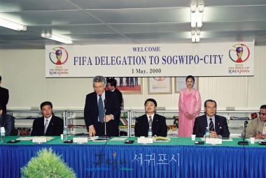 2002 FIFA ǥ  湮