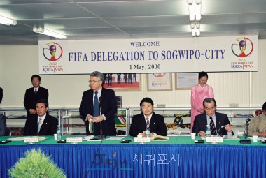 2002 FIFA ǥ  湮