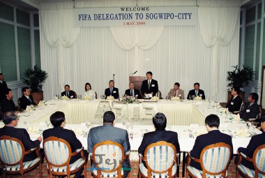 2002 FIFA ǥ  湮