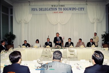 2002 FIFA ǥ  湮