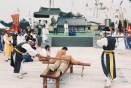 제44회 탐라문화제 남제주군 축제의 날 47번